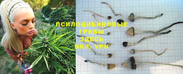 прущая мука Абаза