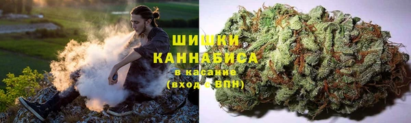 прущая мука Абаза